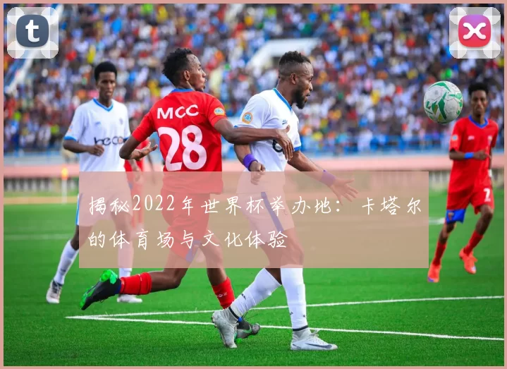 揭秘2022年世界杯举办地:卡塔尔的体育场与文化体验