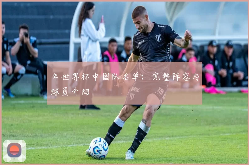 年世界杯中国队名单：完整阵容与球员介绍