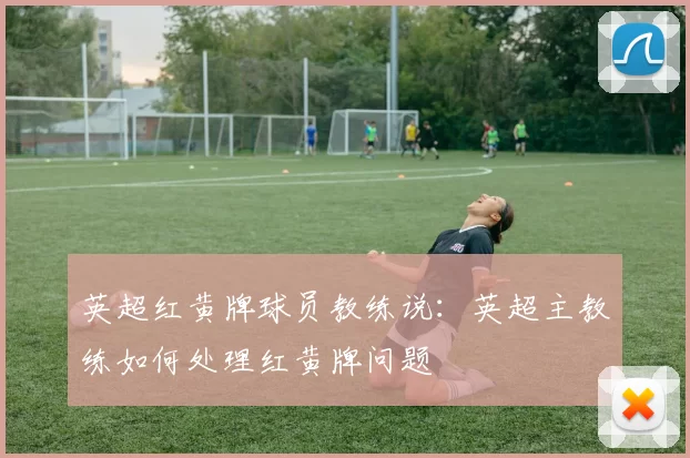 英超红黄牌球员教练说：英超主教练如何处理红黄牌问题