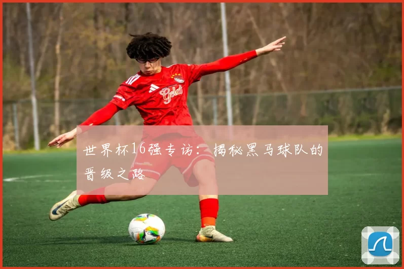 世界杯16强专访:揭秘黑马球队的晋级之路