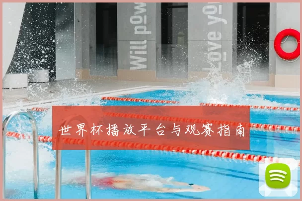 世界杯播放平台与观赛指南