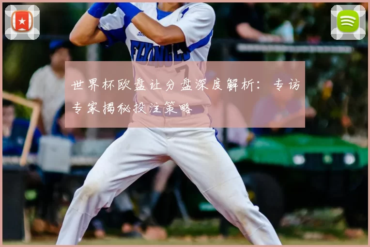 世界杯欧盘让分盘深度解析：专访专家揭秘投注策略