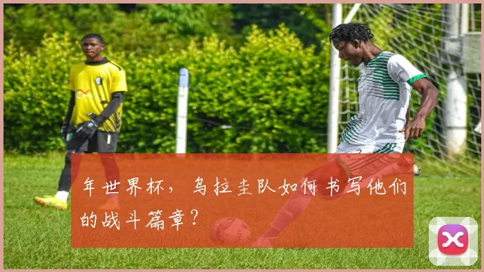 年世界杯，乌拉圭队如何书写他们的战斗篇章？