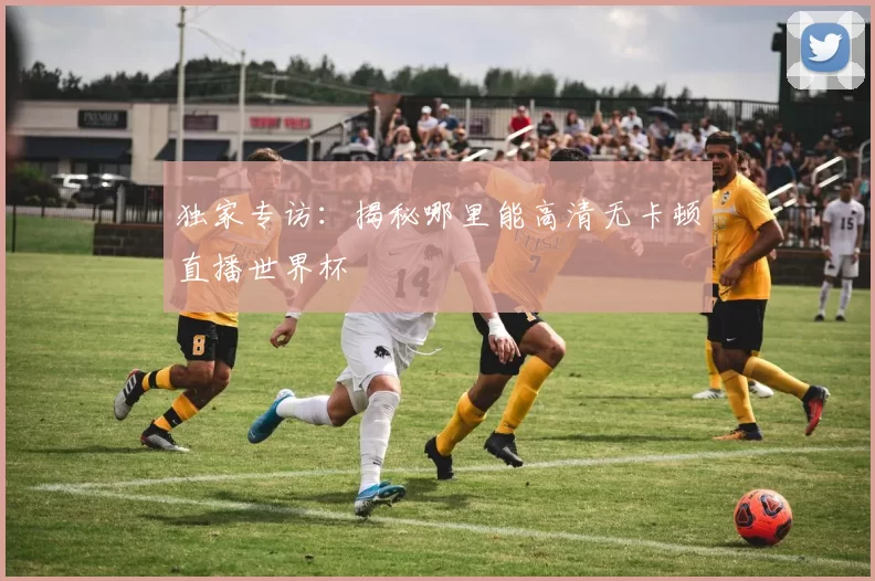 独家专访:揭秘哪里能高清无卡顿直播世界杯