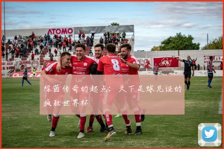 绿茵传奇的起点：天下足球见证的疯狂世界杯