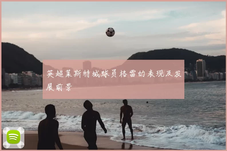 英超莱斯特城球员格雷的表现及发展前景