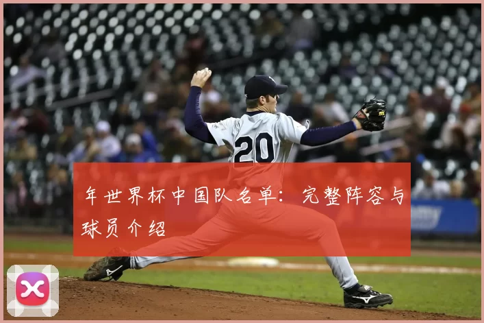 年世界杯中国队名单：完整阵容与球员介绍