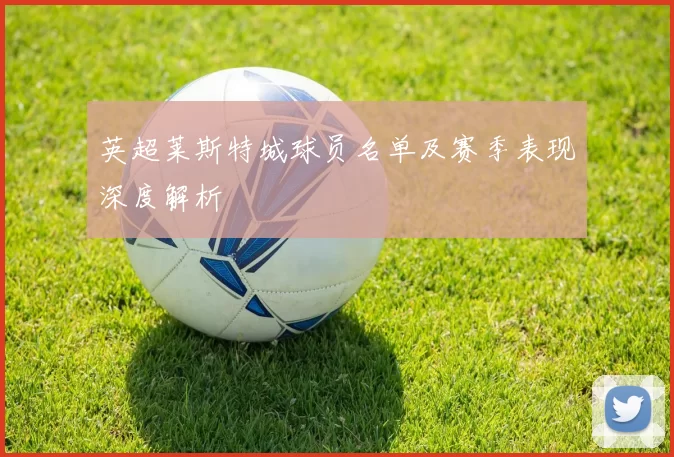 英超莱斯特城球员名单及赛季表现深度解析