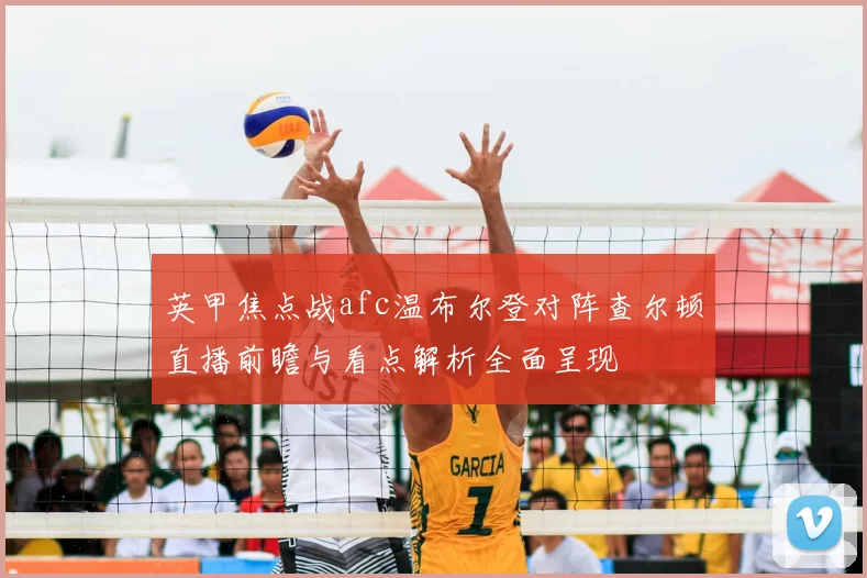 英甲焦点战afc温布尔登对阵查尔顿直播前瞻与看点解析全面呈现