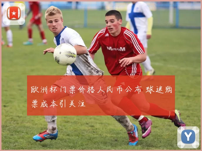 欧洲杯门票价格人民币公布 球迷购票成本引关注